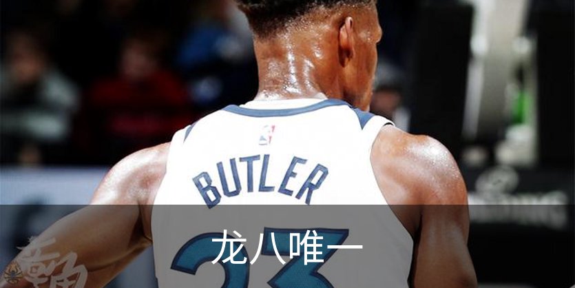 龙八唯一概况